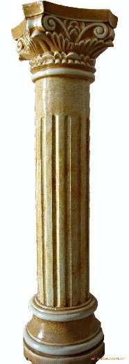 柱式共有5种:多立克式,爱奥尼克式,科林斯式,罗马式(塔司干式,复合式)