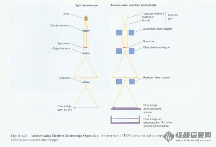 透射电镜原理示意图