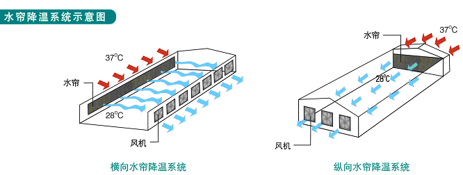 广西水冷空调工程 广西环保空调工程 广西风机水帘工程