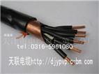 KVVP2 铜芯聚氯乙烯绝缘聚氯乙烯护套铜带屏蔽控制电缆 