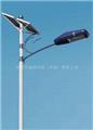 路燈 Solar street light_SY-LD12