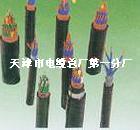 天津市电缆总厂第一分厂主要产品