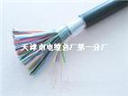 大对数通讯电缆HPVV配线电缆