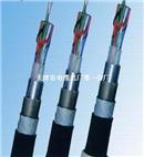 铁路信号电缆-PTYA22-信号电缆型号