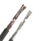 DJYPVPR电缆天津市电缆销售热线：0316-5588939