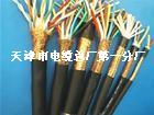 （天联电缆）天津市电缆销售热线：0316-5588939