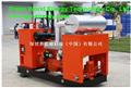 80KW Natural gas/Biogas generators (80kw 天然氣發電機組/沼氣發電機機組)