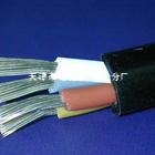 KFF铜芯氟塑料绝缘和护套耐高温控制电缆，450/750V， 2-37芯