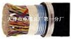 50对 单层钢带铠装通讯电缆 HYAT53  HYA53 50*2*0.5