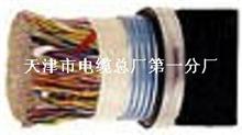 50对 单层钢带铠装通讯电缆 HYAT53  HYA53 50*2*0.5