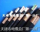 编织屏蔽控制电缆 (2-61芯) ×(0.75-2.5)㎜²MKVVP