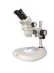 MTS100系列定倍体视显微镜