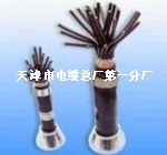  MKVVP22、MKVVP2-22 ；4-61芯（1.5-10mm²）铠装屏蔽控制电缆