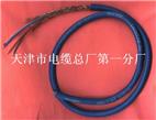  矿用通信电缆MHYVR电缆（PUYVR电缆、矿用防暴电缆