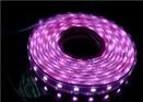 LED贴片软灯条-紫色
