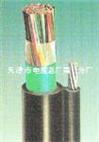 低烟无卤阻燃通信电缆WDZ-HYAC 20X2X0.5