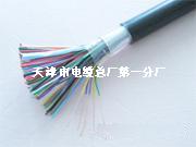 HPVV10×2×0.5配线电缆