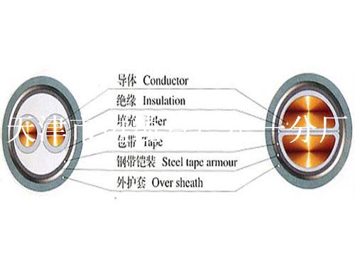 zr-rvv22铠装阻燃电源电缆