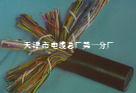 天津电缆HYAT（5-2000对充油通信电缆）