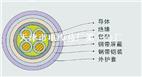 ZR-KVVP2-22阻燃屏蔽铠装控制电缆