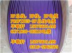 1对西门子DP线缆6XV1830-0EH10电缆 现货供应 