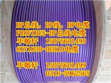 Profibus DP/PA总线电缆 