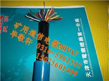 矿用通信电缆MHYS32|矿用通讯电缆MHYS32 