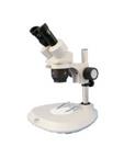 MTS300系列定倍体视显微镜
