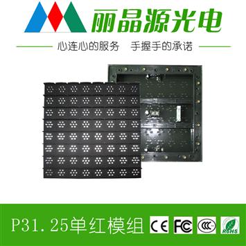 P31.25 outdoor LED module