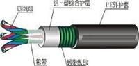 PZYA23-9C室外信号电缆