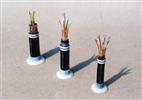 屏蔽双绞电缆 RVVP ZR-RVVP 信号电缆 屏蔽线价格