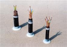 屏蔽双绞电缆 RVVP ZR-RVVP 信号电缆 屏蔽线价格