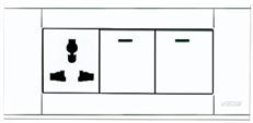 A118-L2K-2DGN  二位双控开关带多用插座