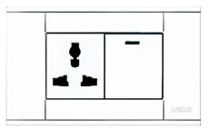 A118-L1K-2DGN  双控开关带多功能插座