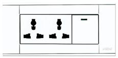 A118-L1K-2DGN  单控开关带二位多功能插座
