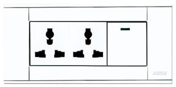 A118-L1K-2DGN  单控开关带二位多功能插座