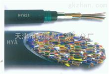 大对数通信电缆HYA23