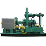 Steam operated screw expander