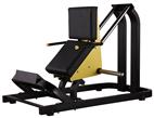 SK-502 Commercial calf machine for fitness club