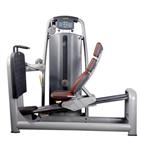 SK-615 Leg press technogym fitness workout machine