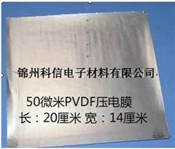 50umPVDF压电膜